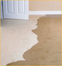 Flooded Carpet Restoration